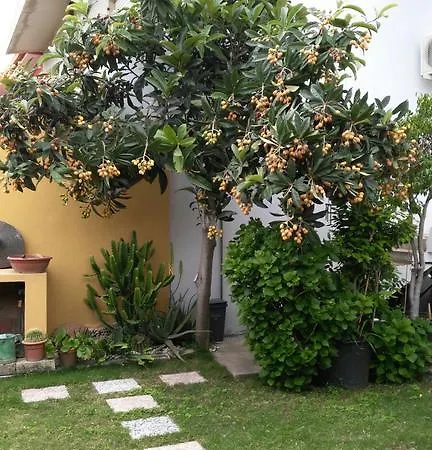 Apartment Apartment Rose E Fiori Sardegna *