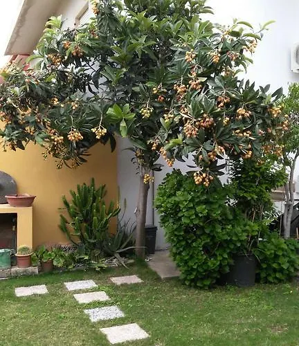 Apartamento Rose E Fiori Sardegna *